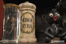 16692982008260303_SOMEWHERETOURS_TORINO_HORROR_STORY (11).jpg